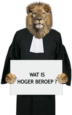 wat is hoger beroep